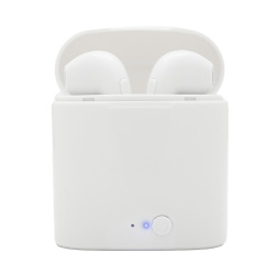 Auricular Nucleo-