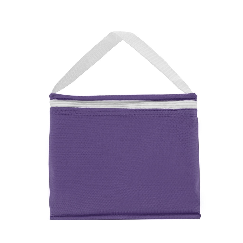 Cooler Mini-