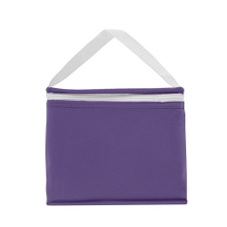 Cooler Mini-
